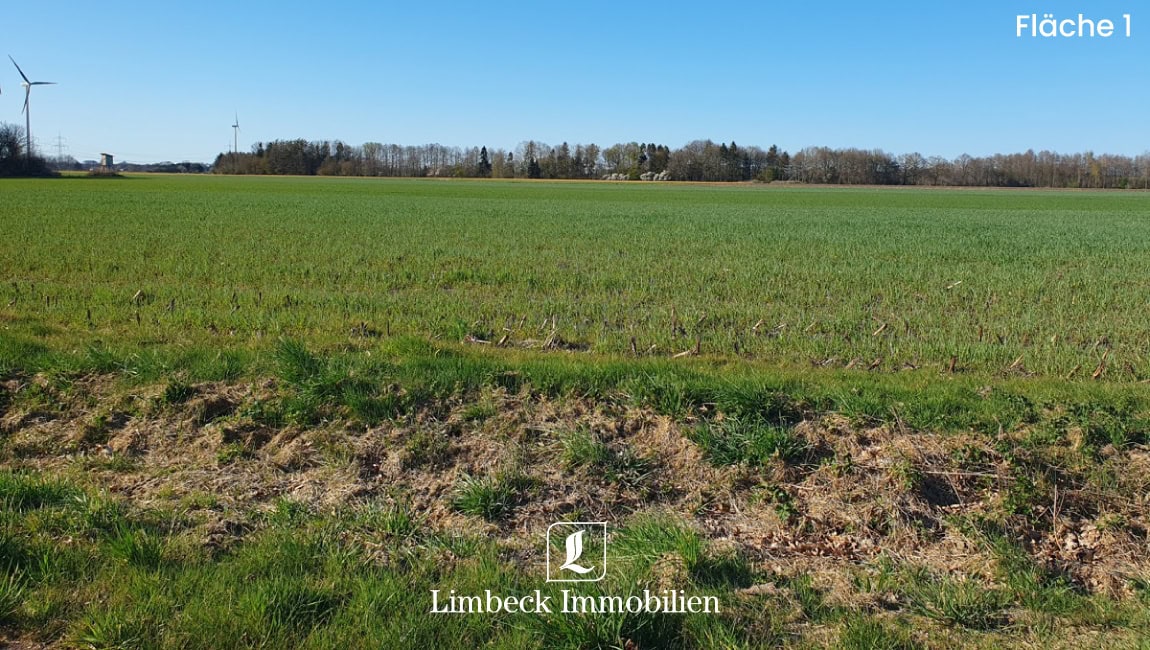 Lingen Ackerfläche 1