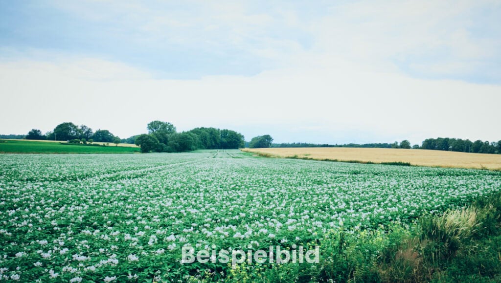 Ackerland zu verpachten