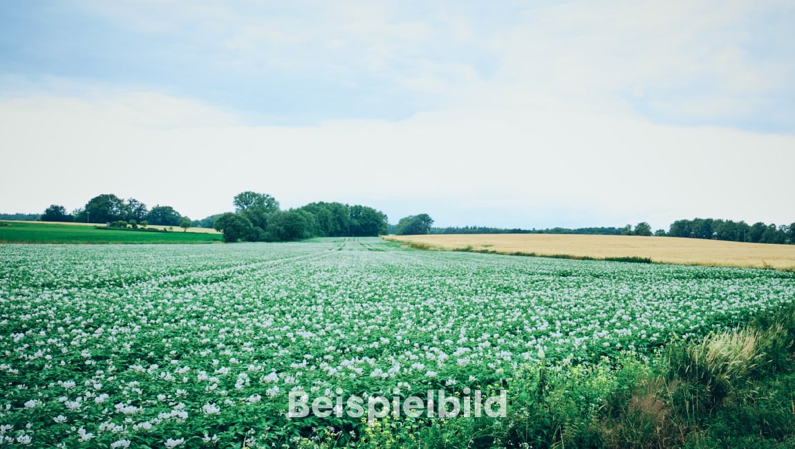 Ackerland zu verpachten