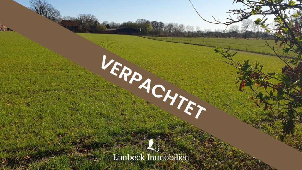 Verpachtet Acker Lingen Bramhar