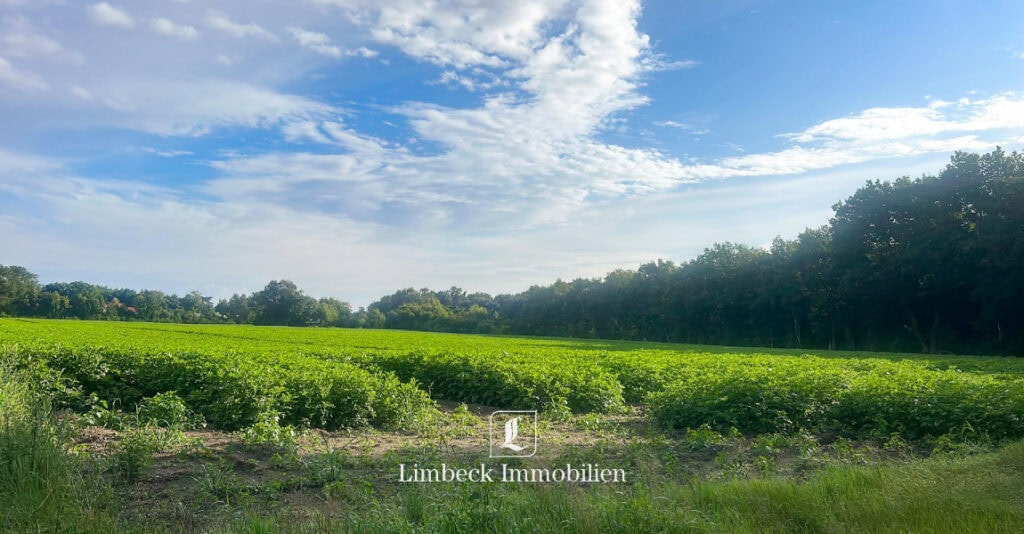 Ackerfläche zur Pacht Herzlake