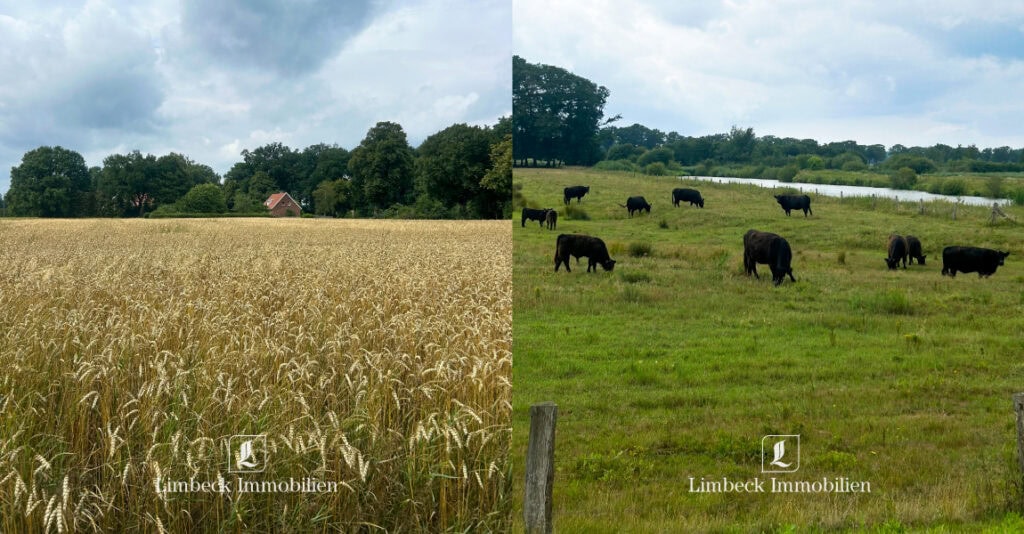 Hof und Eigenjagd im Artland