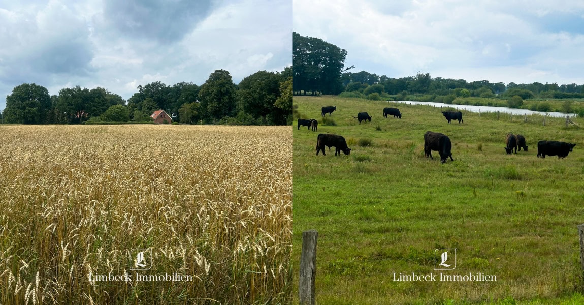Hof und Eigenjagd im Artland