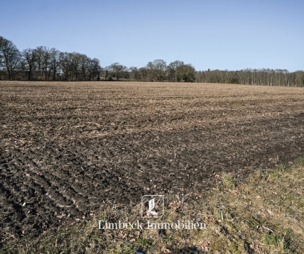 Referenz Acker Meppen