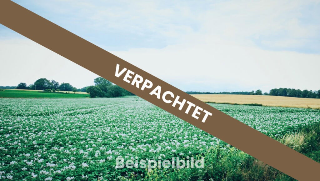 Acker Beispiel verpachtet