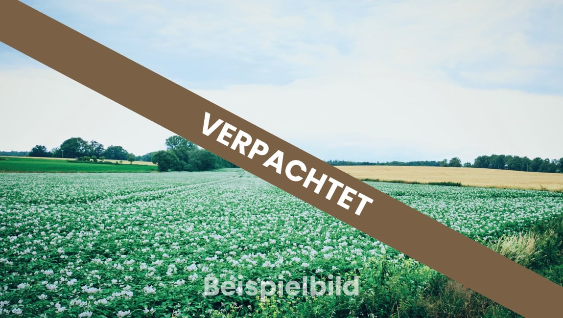Acker Beispiel verpachtet