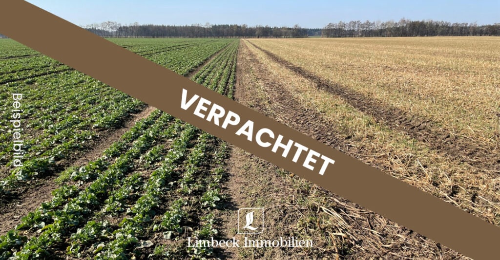 Acker Haselünne verpachtet