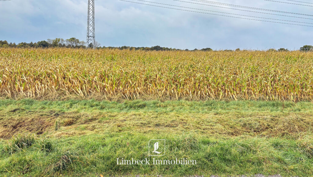 Acker in Aschendorf zu verkaufen