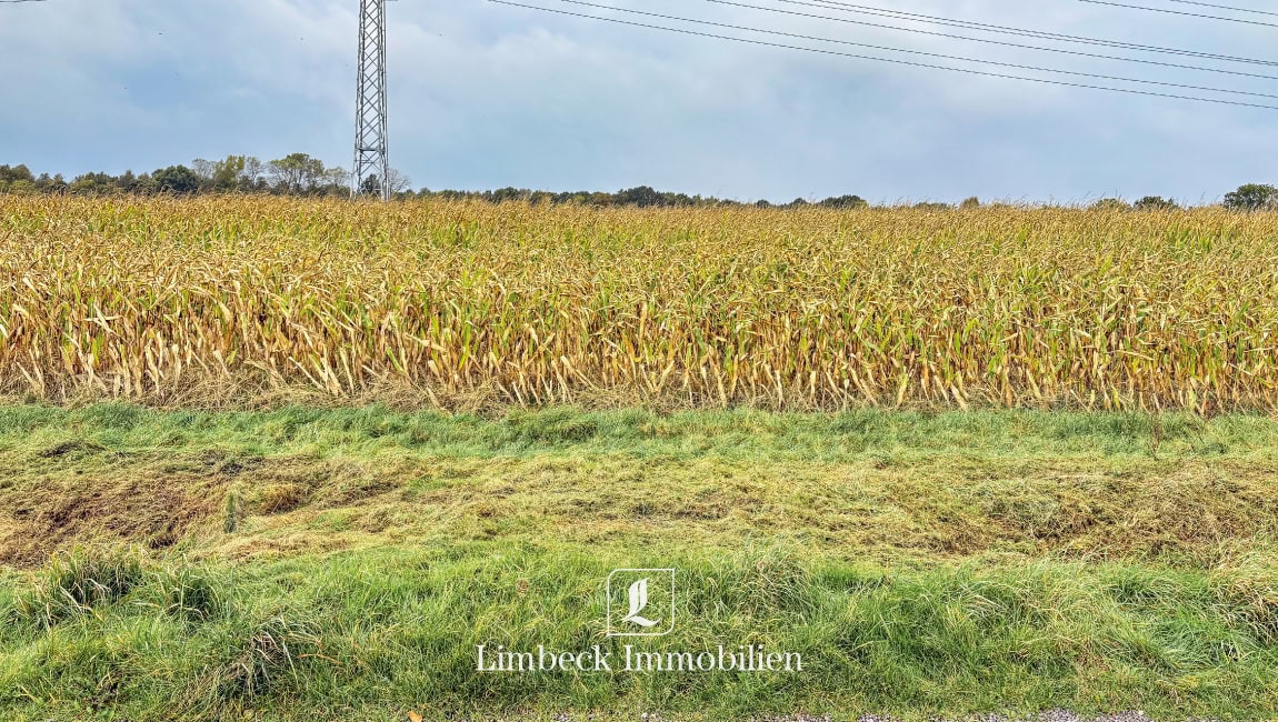 Acker in Aschendorf zu verkaufen