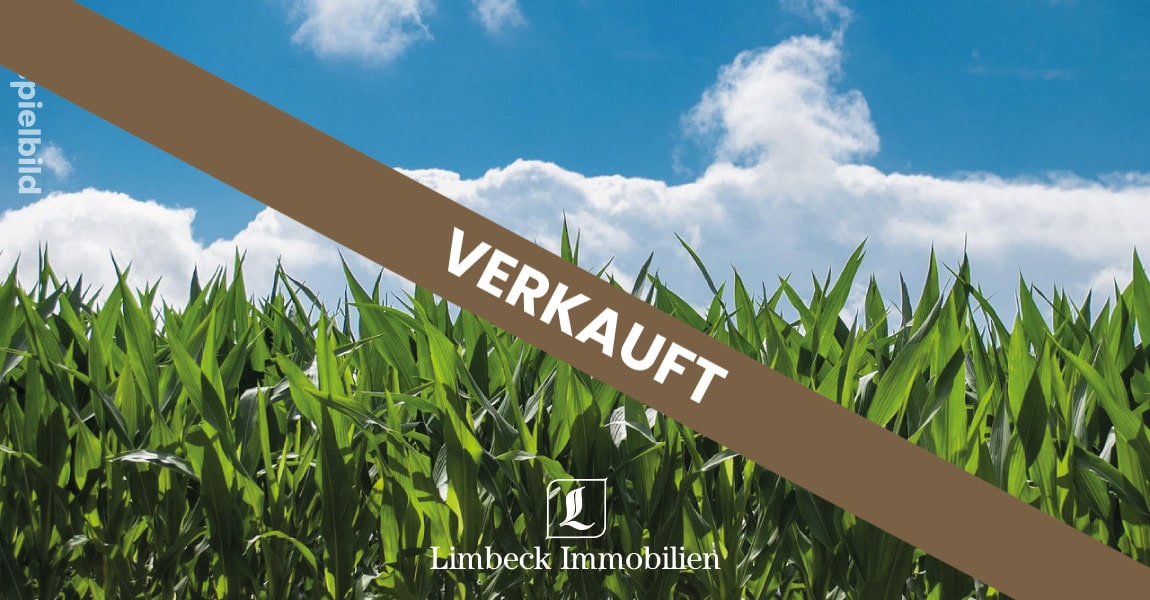 Acker Mais Beispielbild verkauft