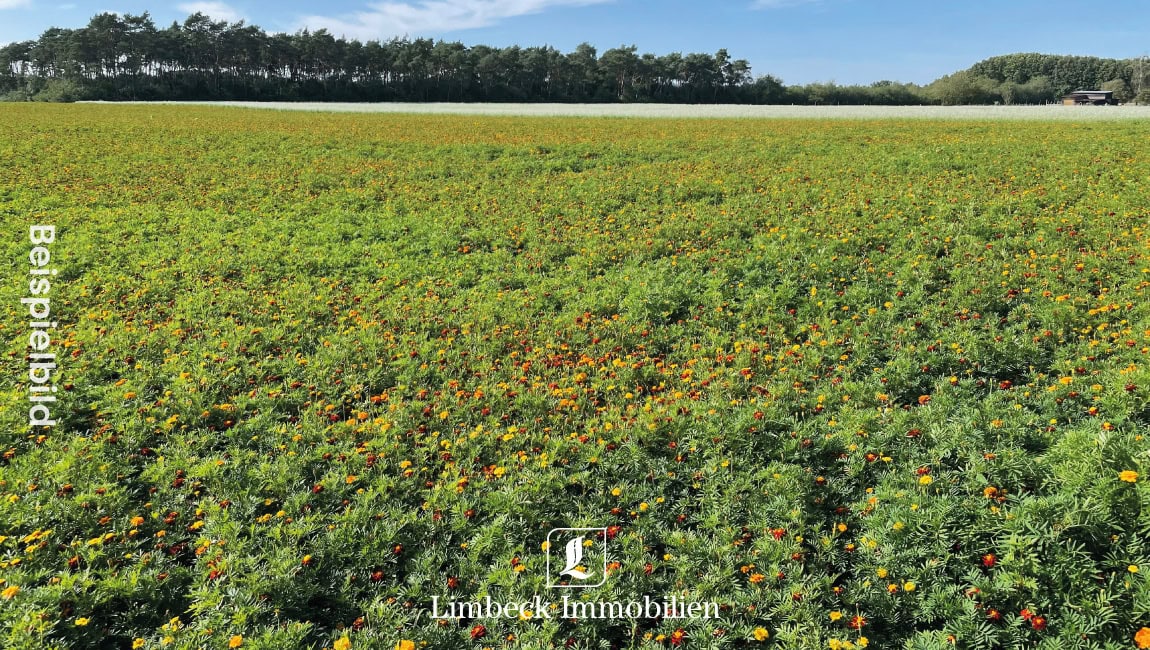 Ackerfläche Beispielbild