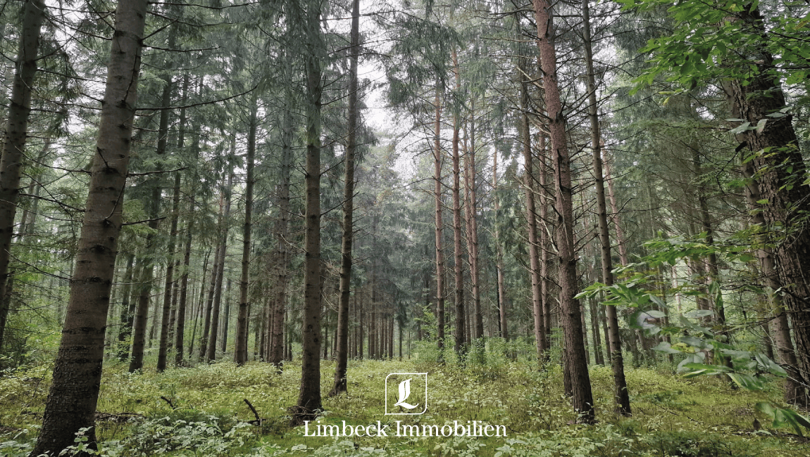 Wald Lindern Verkauf
