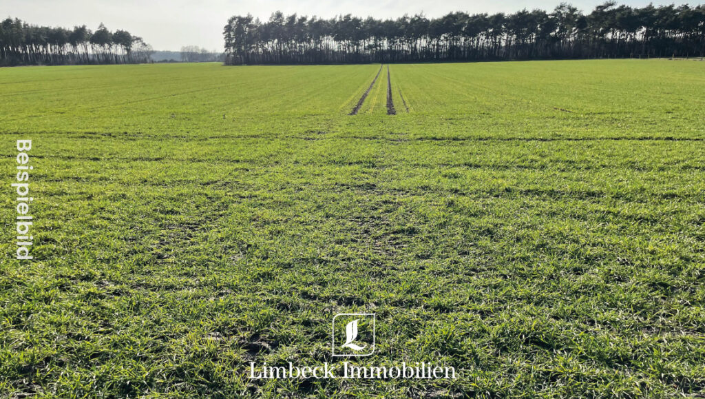 Ackerfläche Verkauf Beispielbild