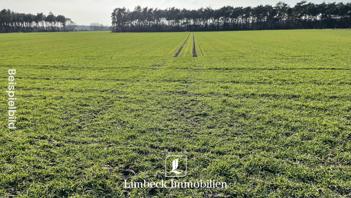 Ackerfläche Verkauf Beispielbild