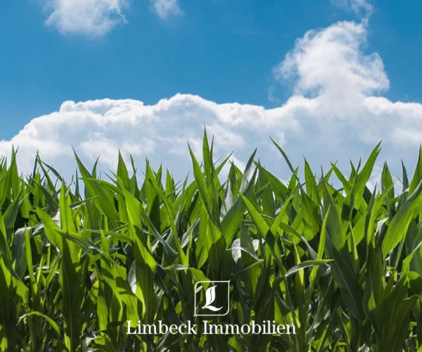 Acker verkauft Baccum