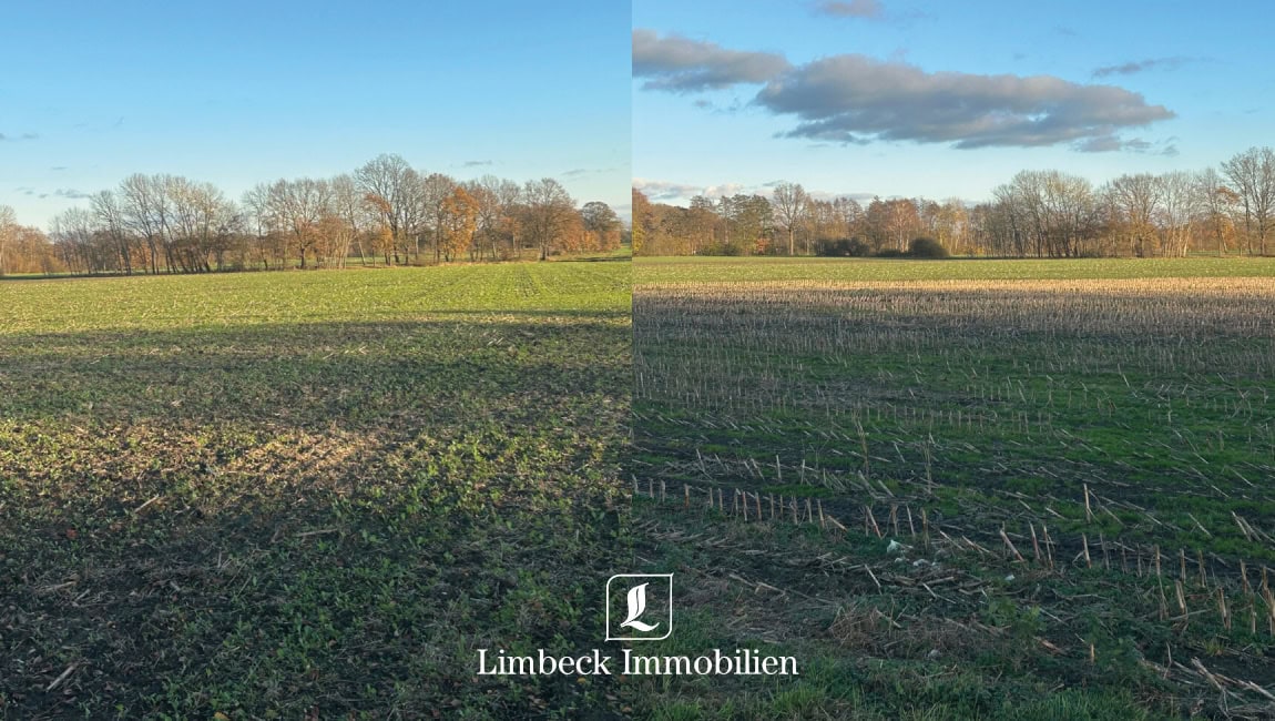 Ackerfläche Sulingen