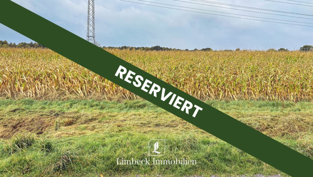 Aschendorft Acker reserviert