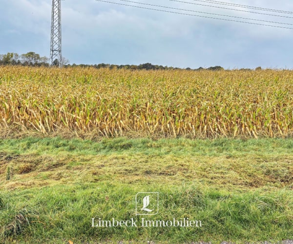 Acker Aschendorf Referenz