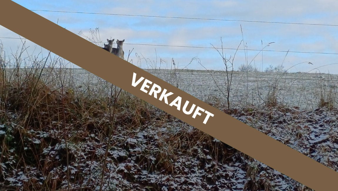 Eigenjagd Beispielbild Verkauft