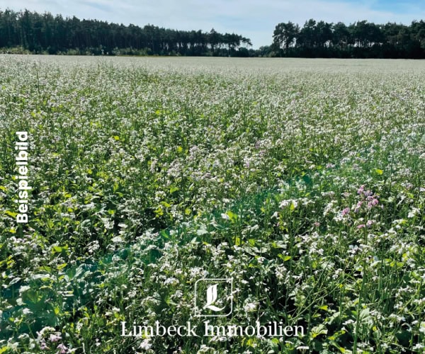 Ackerbeispiel Referenz