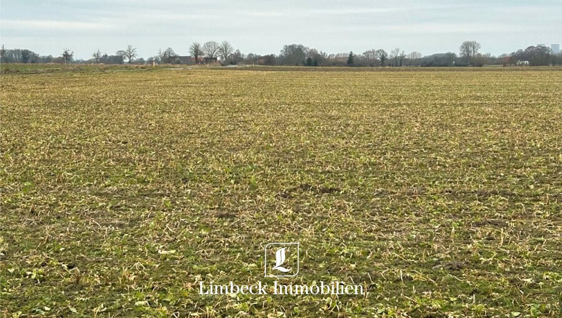 Ackerfläche Niederbauer