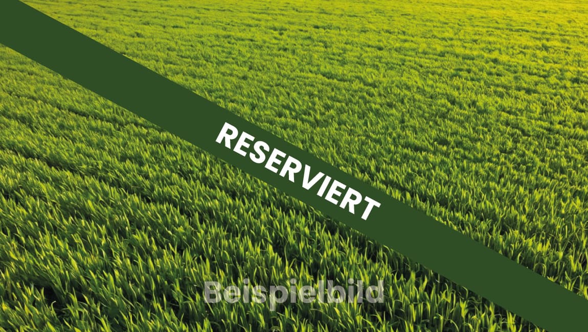 Feld Beispiel reserviert