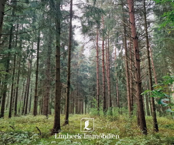 Wald Lindern verkauft
