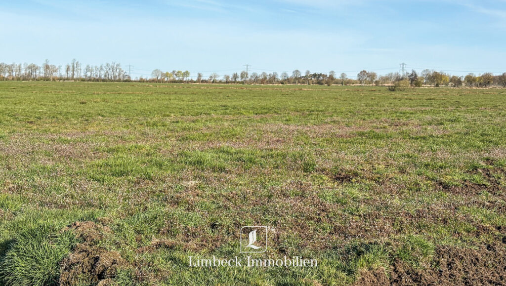 14 ha grünland zu verkaufen