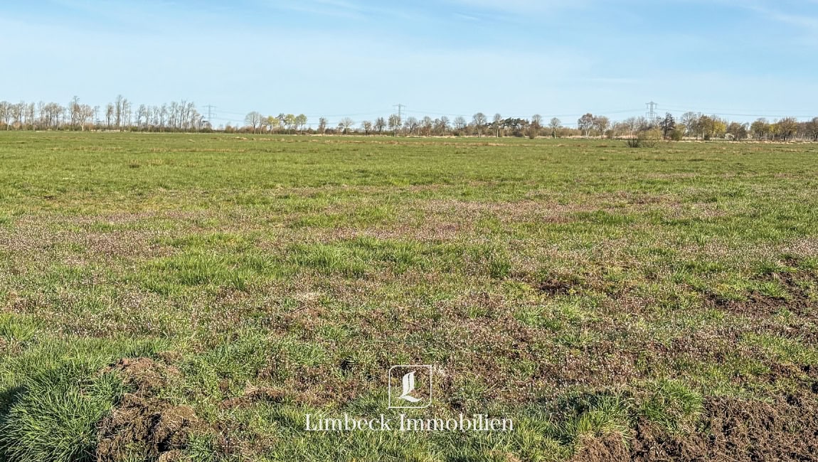 14 ha grünland zu verkaufen