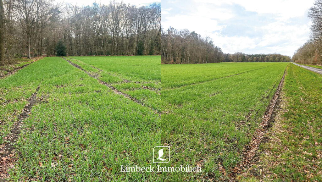 4 ha Acker Warendorf