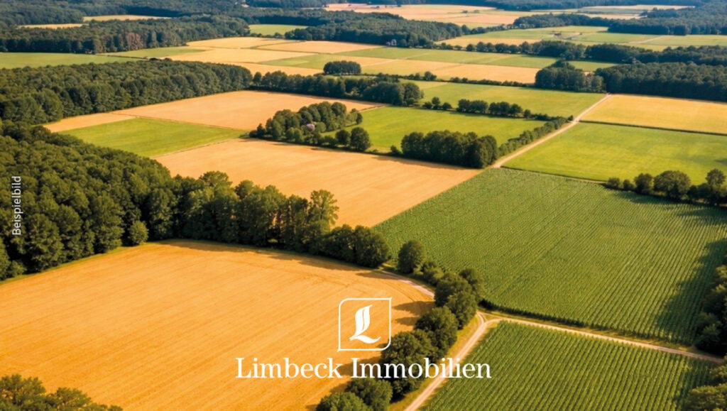 Agrarflächen Beispielbild