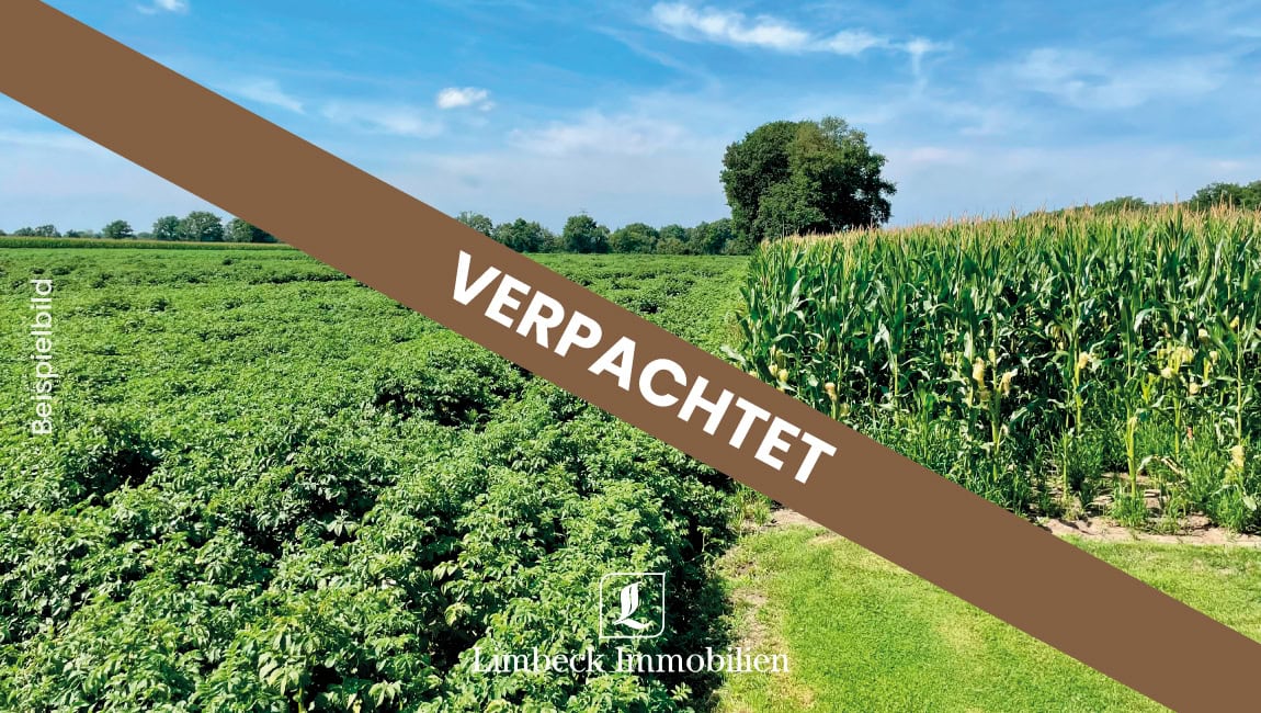 Acker verpachtet