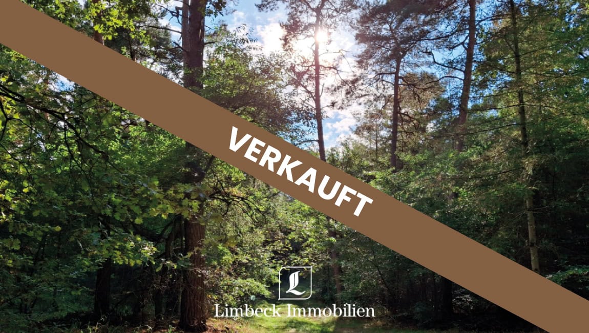 Eigenjagd verkauft Lingen